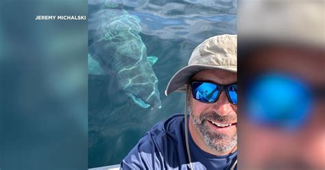 'Epic Adventure:' Basking Shark Comes Within Feet of Boat off .